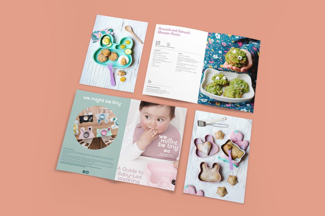 Baby Led Weaning Guide Front Cover